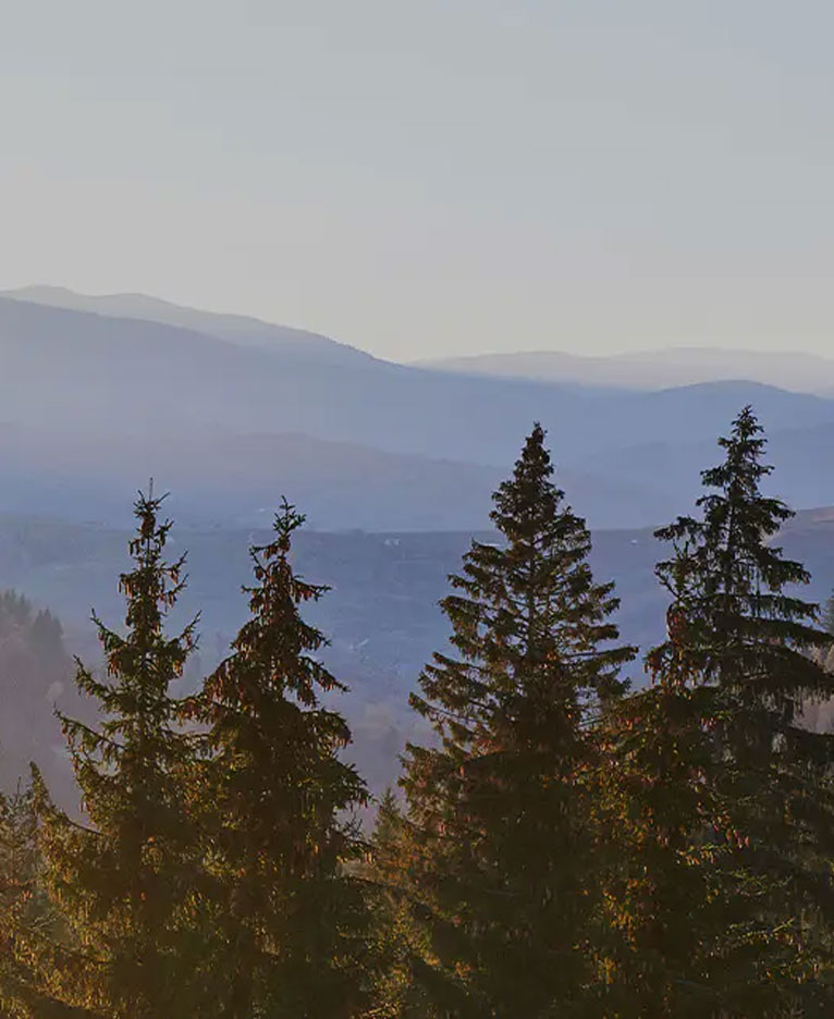 가죽 디자인 멜라민 보드